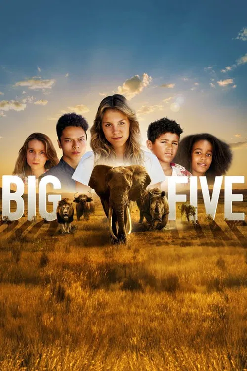 Big Five постер