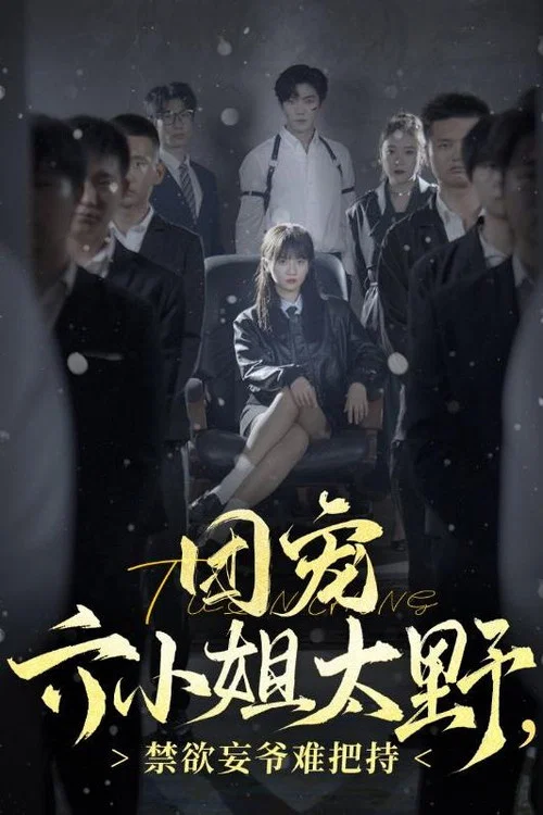 团宠六小姐太野，禁欲妄爷难把持 постер