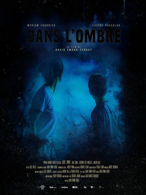Dans l'ombre постер