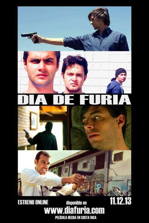 Día de Furia постер