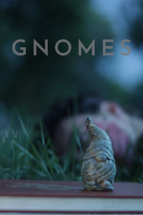 Gnomes постер