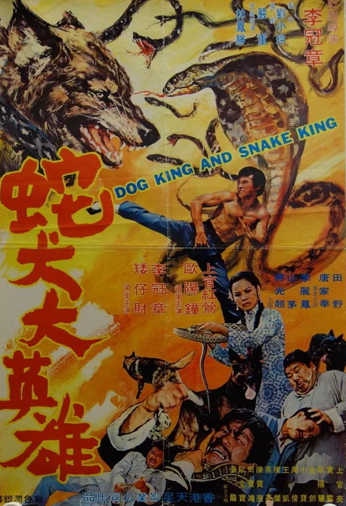 She quan da ying xiong постер
