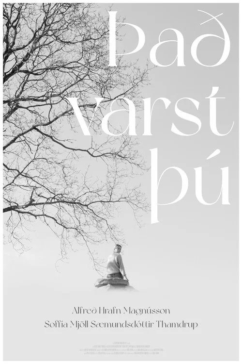 Það varst þú постер