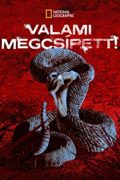 I Was Bitten постер