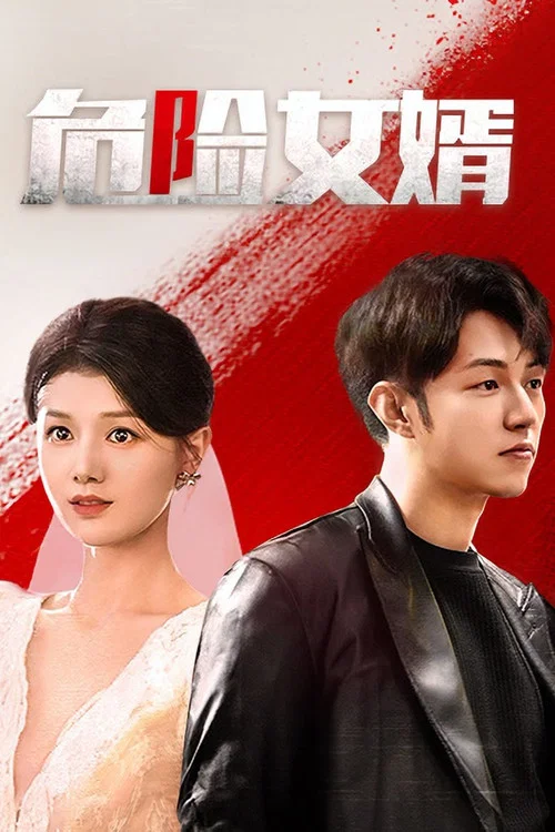 危险女婿 постер