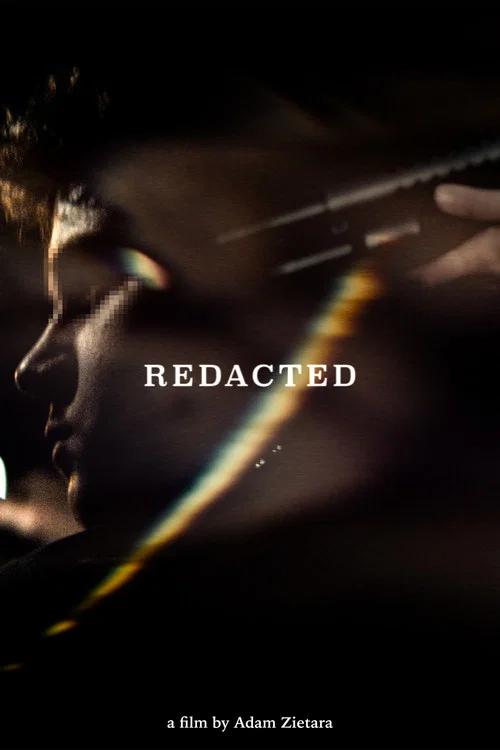 Redacted постер
