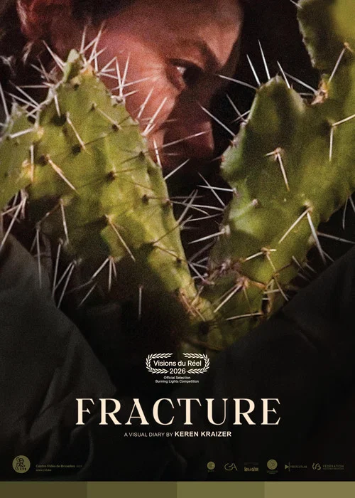 Fracture постер