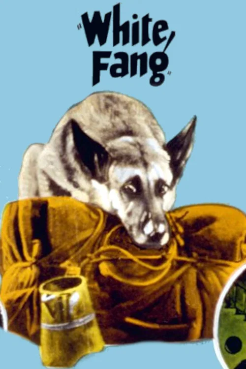 White Fang постер