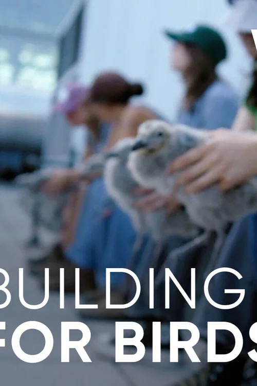 Wild Hope: Building for Birds постер