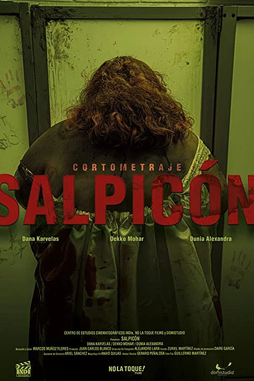 Salpicón постер