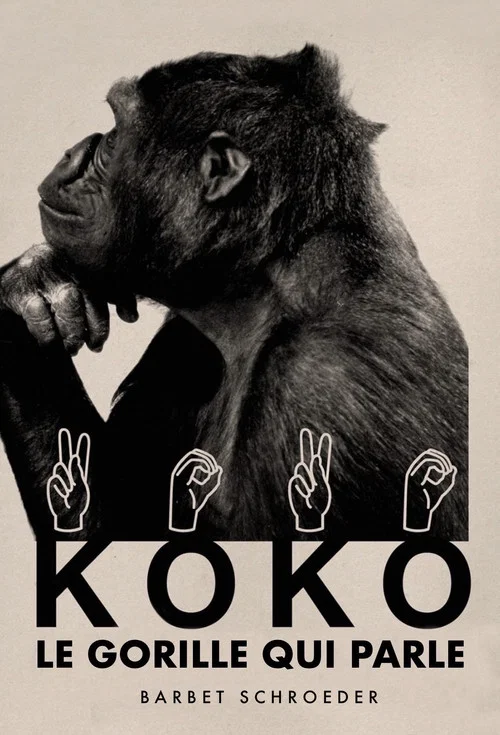 Koko, le gorille qui parle постер