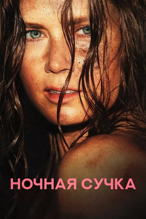 Ночная сучка постер