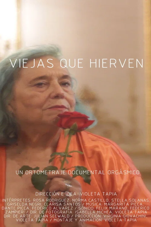 Viejas que hierven постер