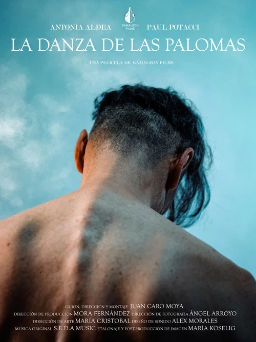 La danza de las palomas постер