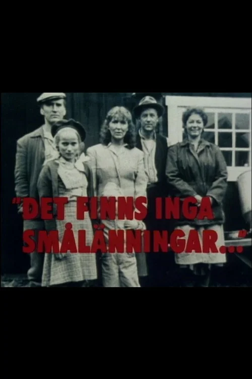 Det finns inga smålänningar постер