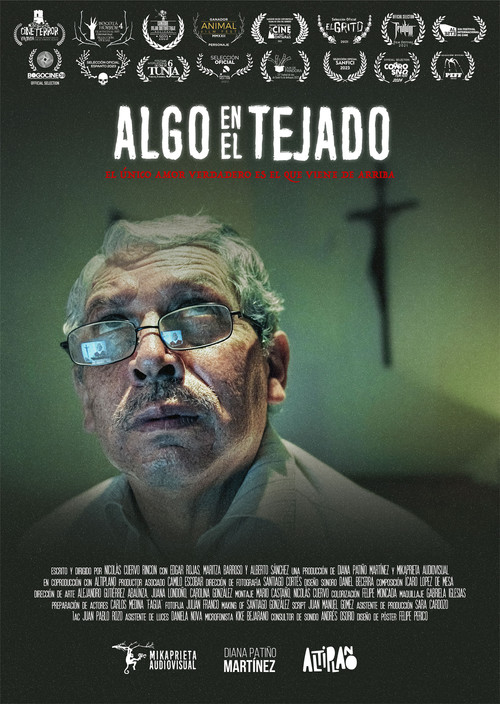 Algo en el tejado постер