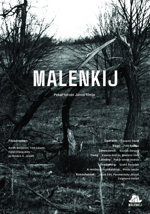 Malenkij постер