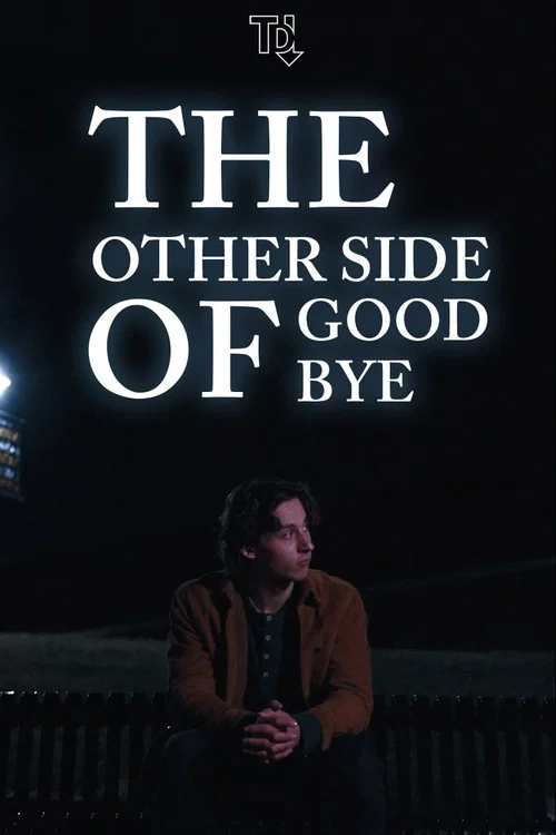 The Other Side of Goodbye постер