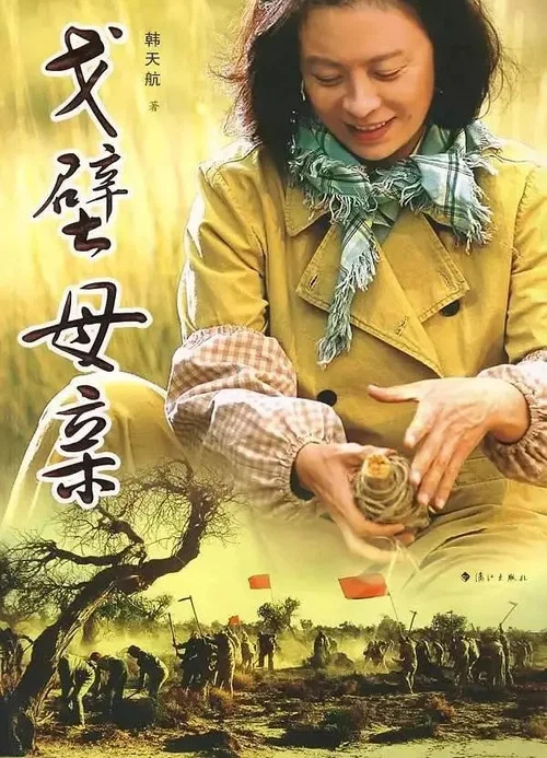 戈壁母亲 постер