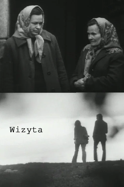 Wizyta постер