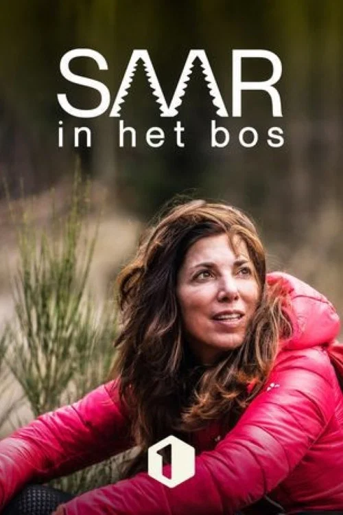 Saar in het bos постер