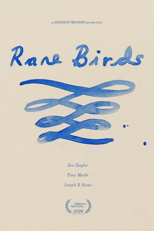 Rare Birds постер