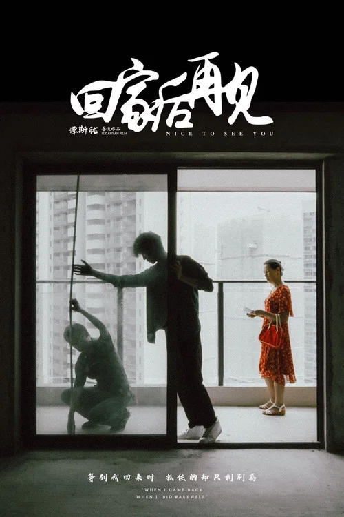 回家后再见 постер