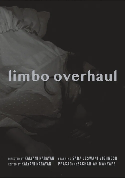 Limbo Overhaul постер