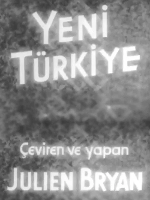 Yeni Türkiye постер