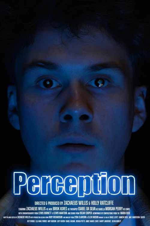 Perception постер