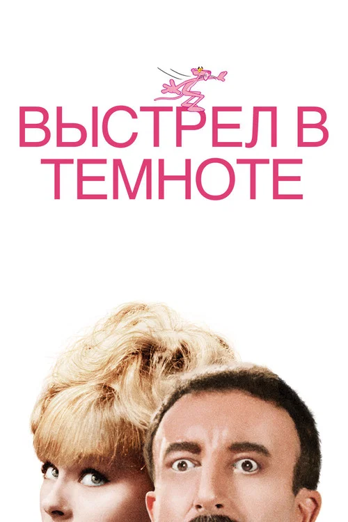 Выстрел в темноте постер