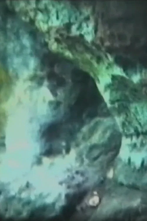 Penetrating Through the Cave постер