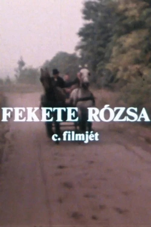 Fekete rózsa постер