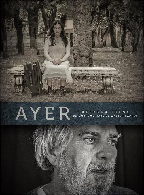 Ayer постер