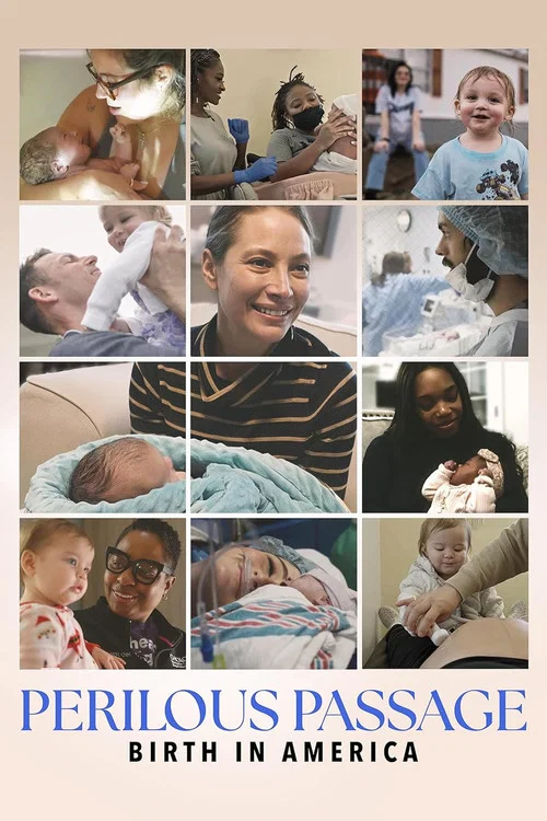 Perilous Passage: Birth in America постер