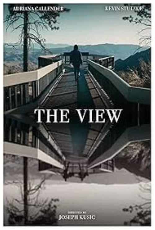 The View постер