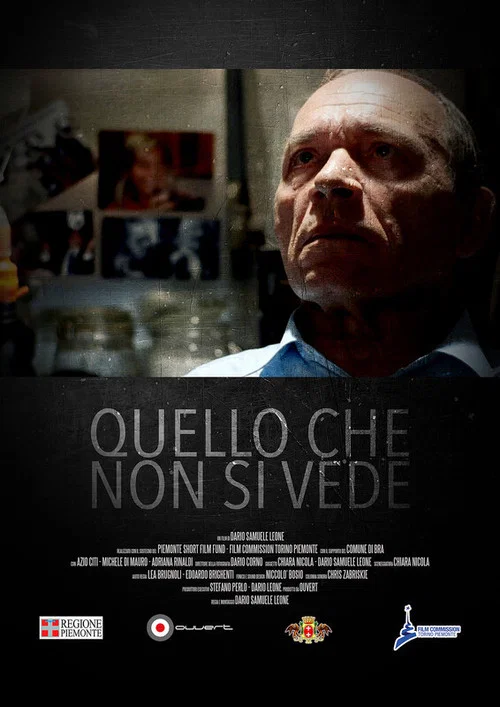 Quello che non si vede постер