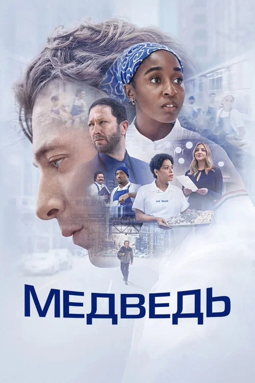 Медведь постер