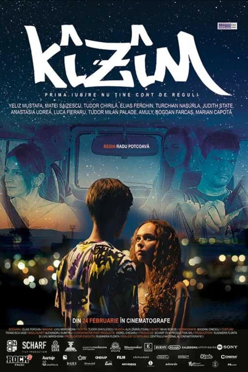 Kîzîm постер