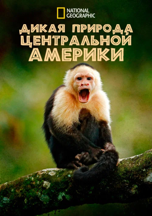 Дикая природа Центральной Америки постер