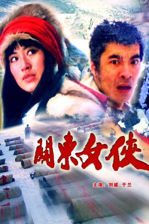 关东女侠 постер