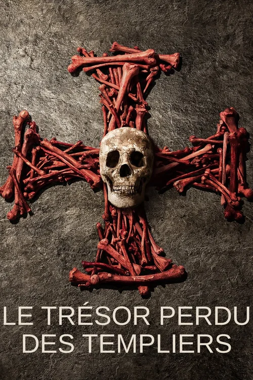 Pirate Treasure of the Knights Templar постер