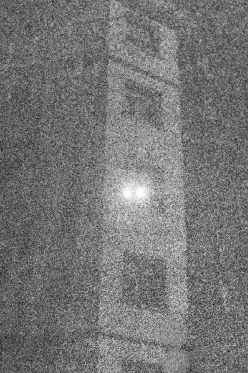 La sombra del vuelo постер