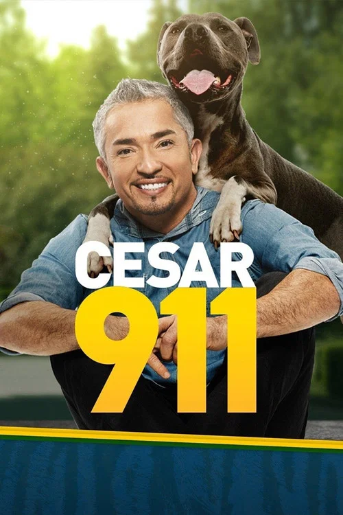 Cesar 911 постер