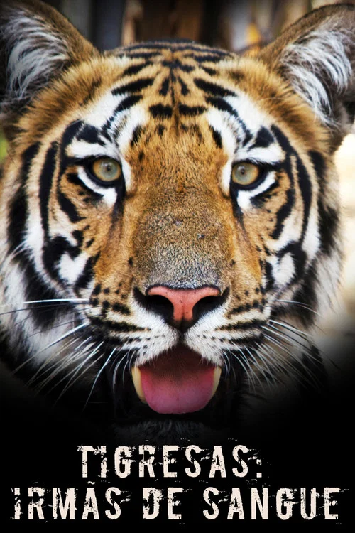 Tigress Blood постер