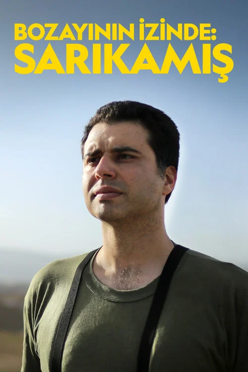 Bozayının İzinde: Sarıkamış постер
