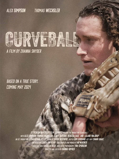 Curveball постер