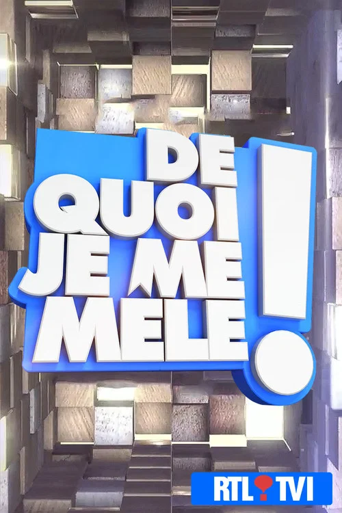 De quoi je me mêle ! постер