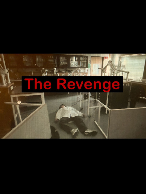 The Revenge постер