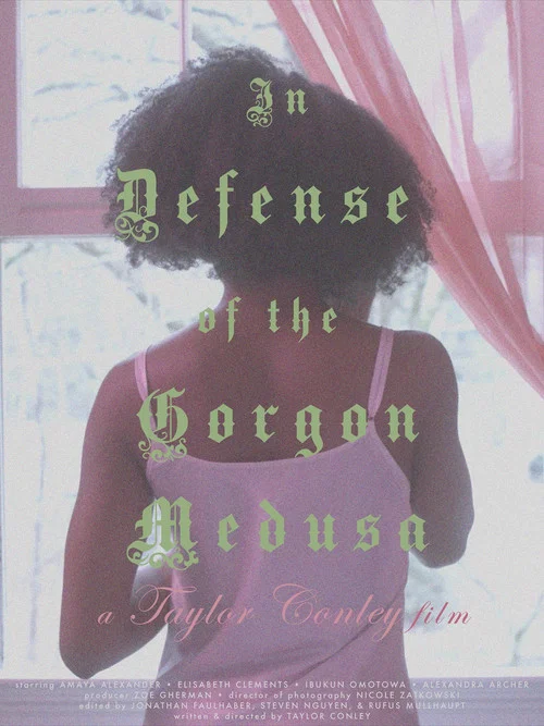 In Defense of the Gorgon Medusa постер